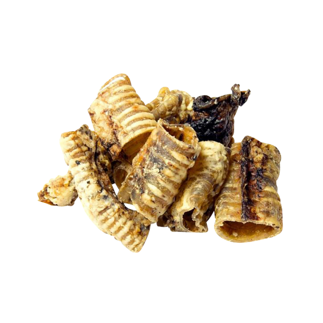 Trachea - Cut
