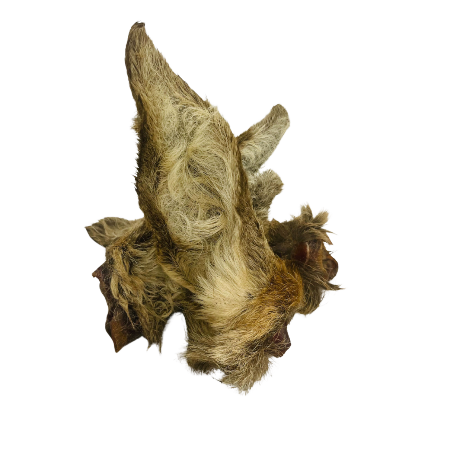 Venison Ears - with Hair