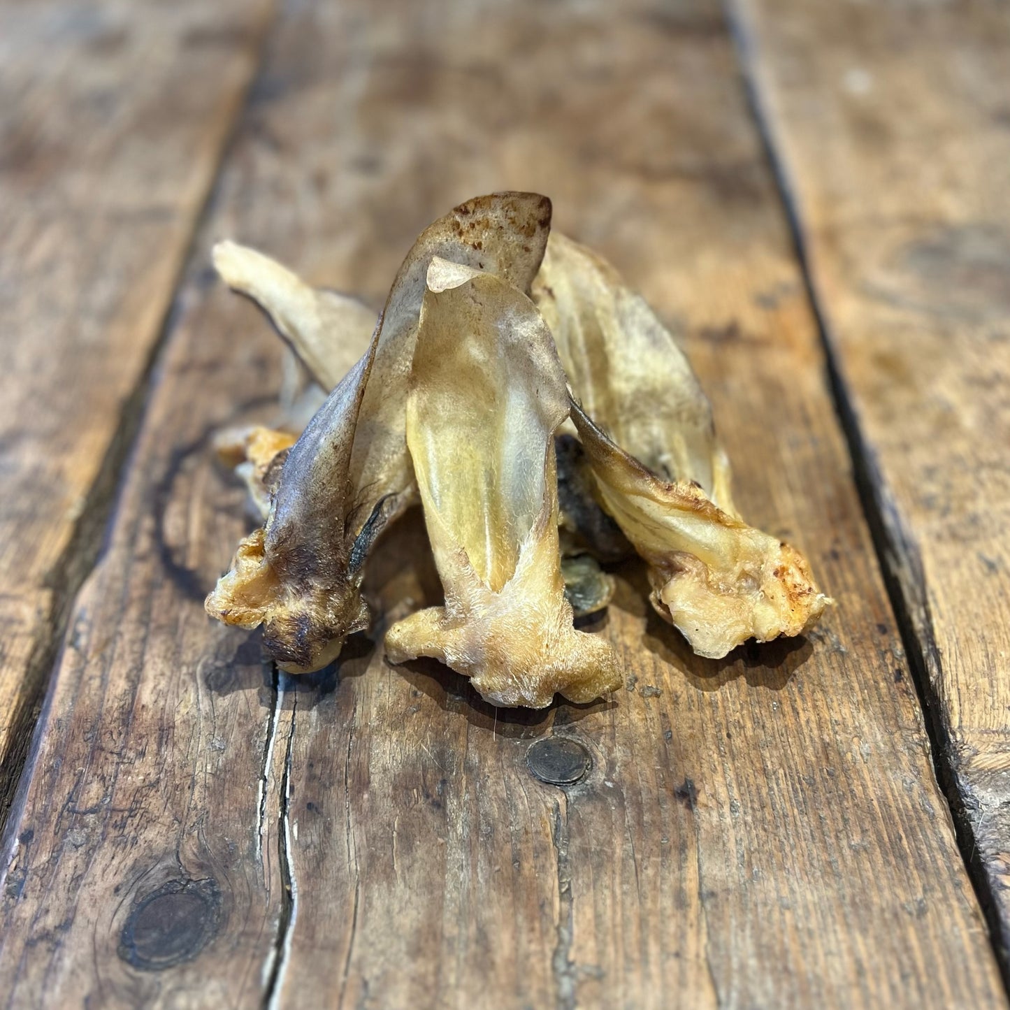 Lamb Ears - plain