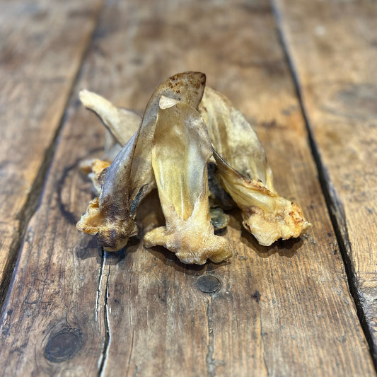 Lamb Ears - plain