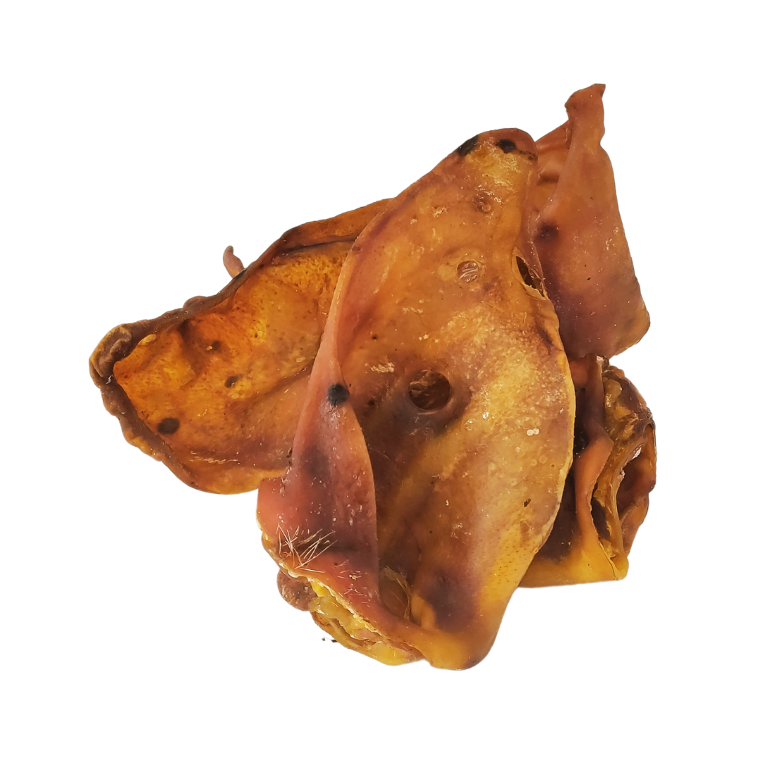 XL Pig Ears